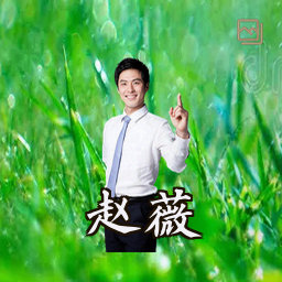 赵薇